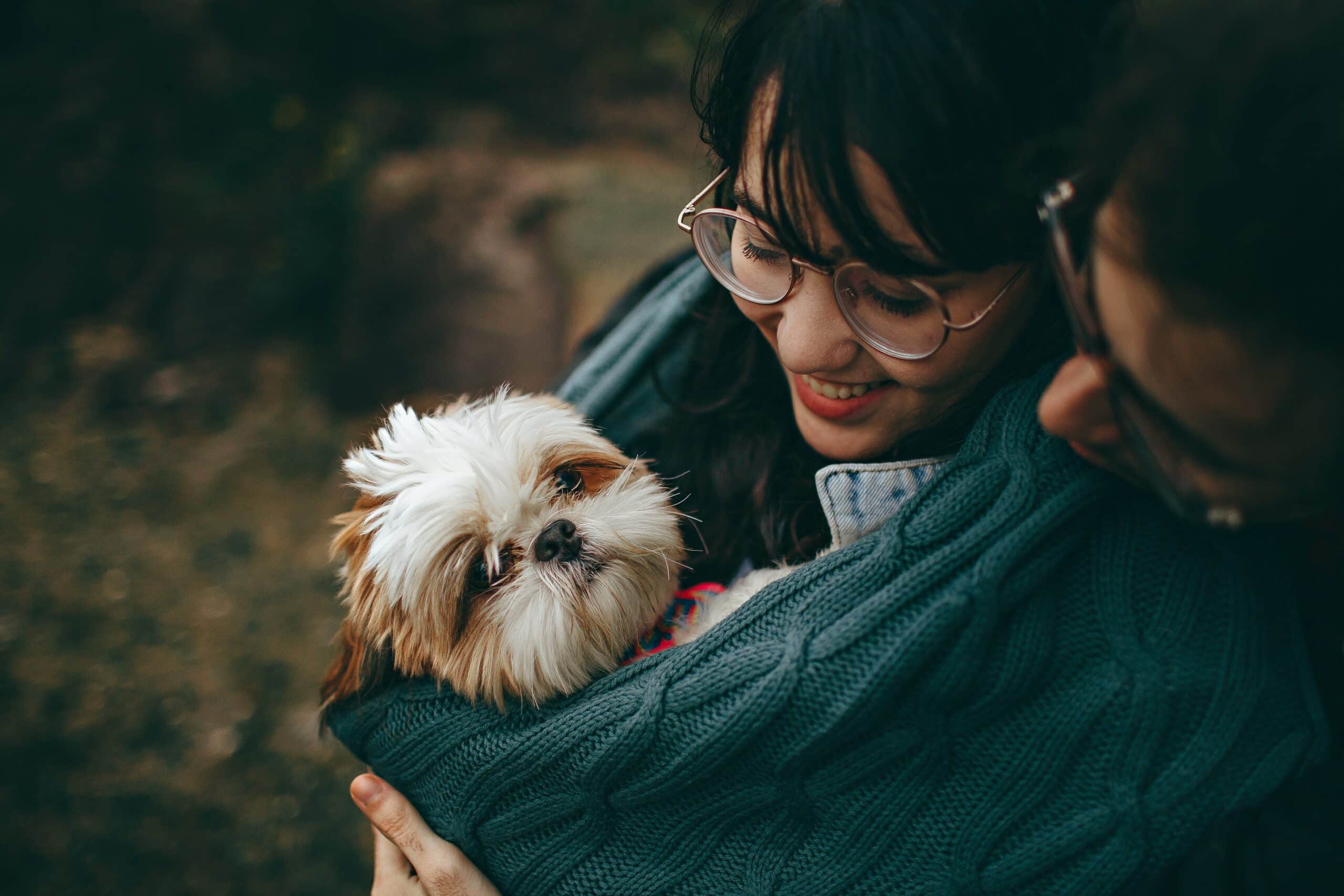 Featured image for “10 reasons to get a toy puppy”