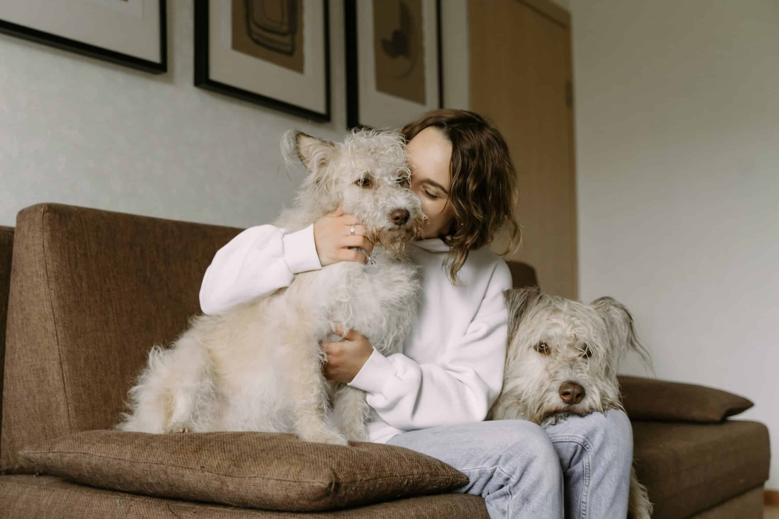 Featured image for “Animals bring love to the world”