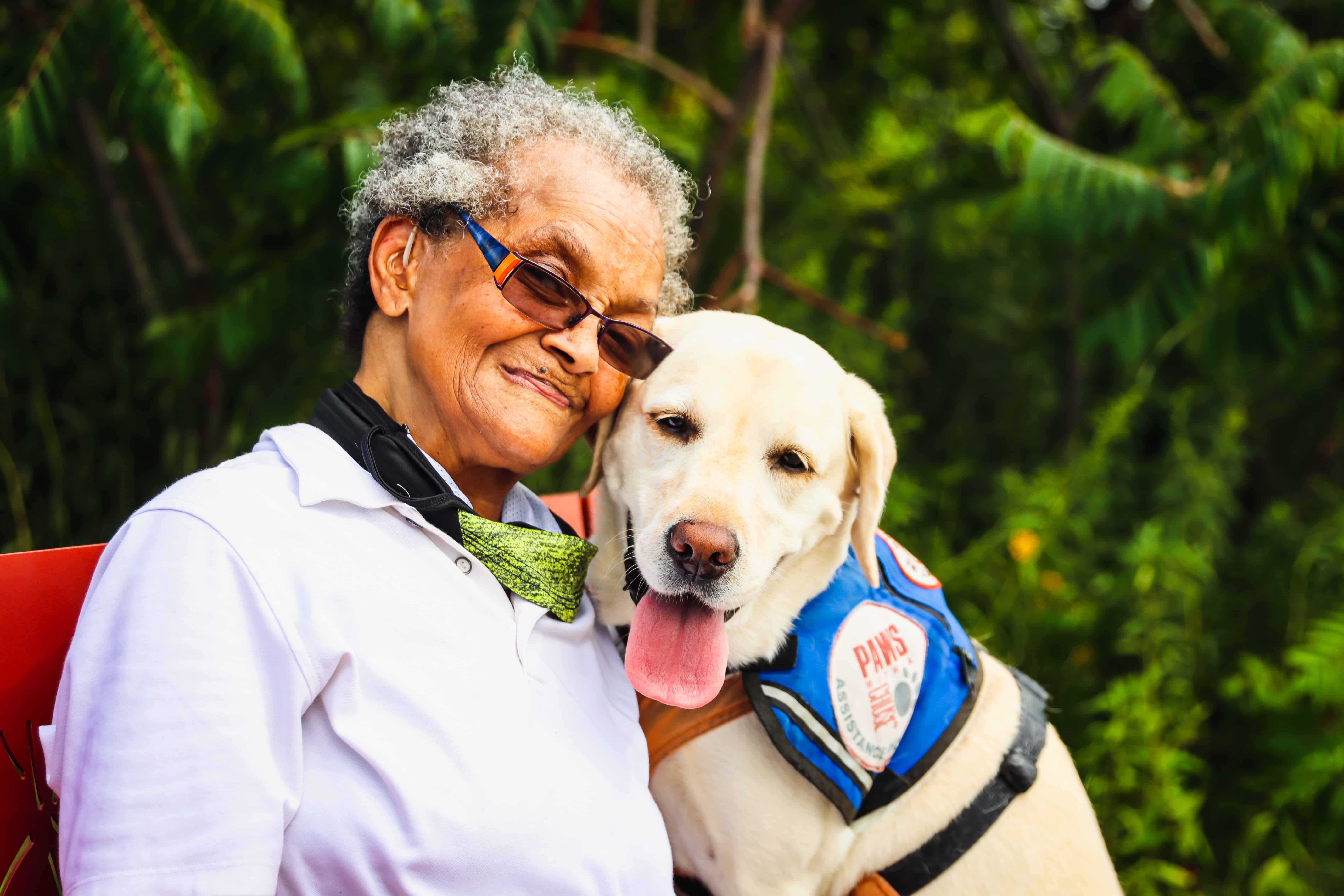 Featured image for “Hero dogs”
