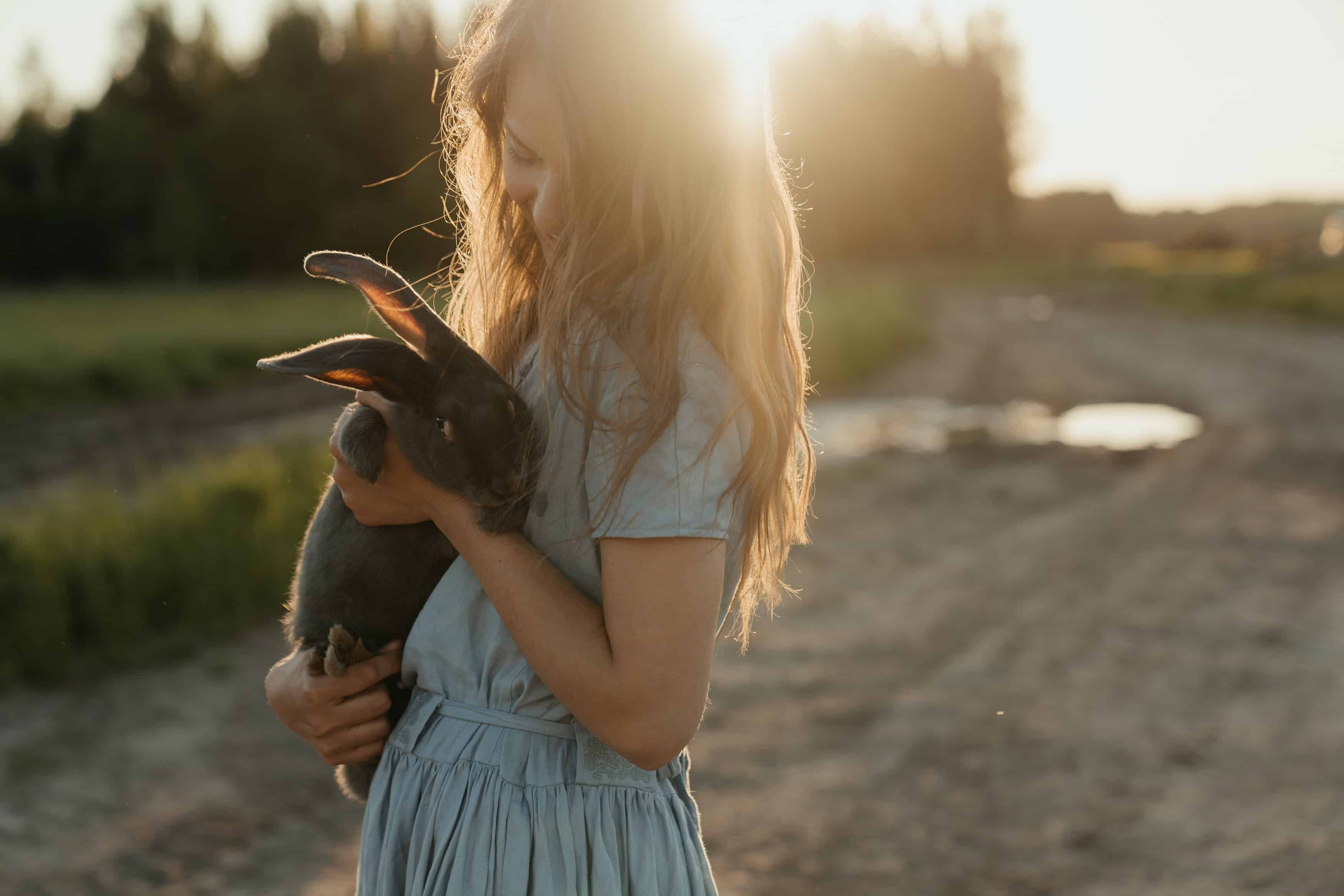 Featured image for “All you need to know about rabbits”