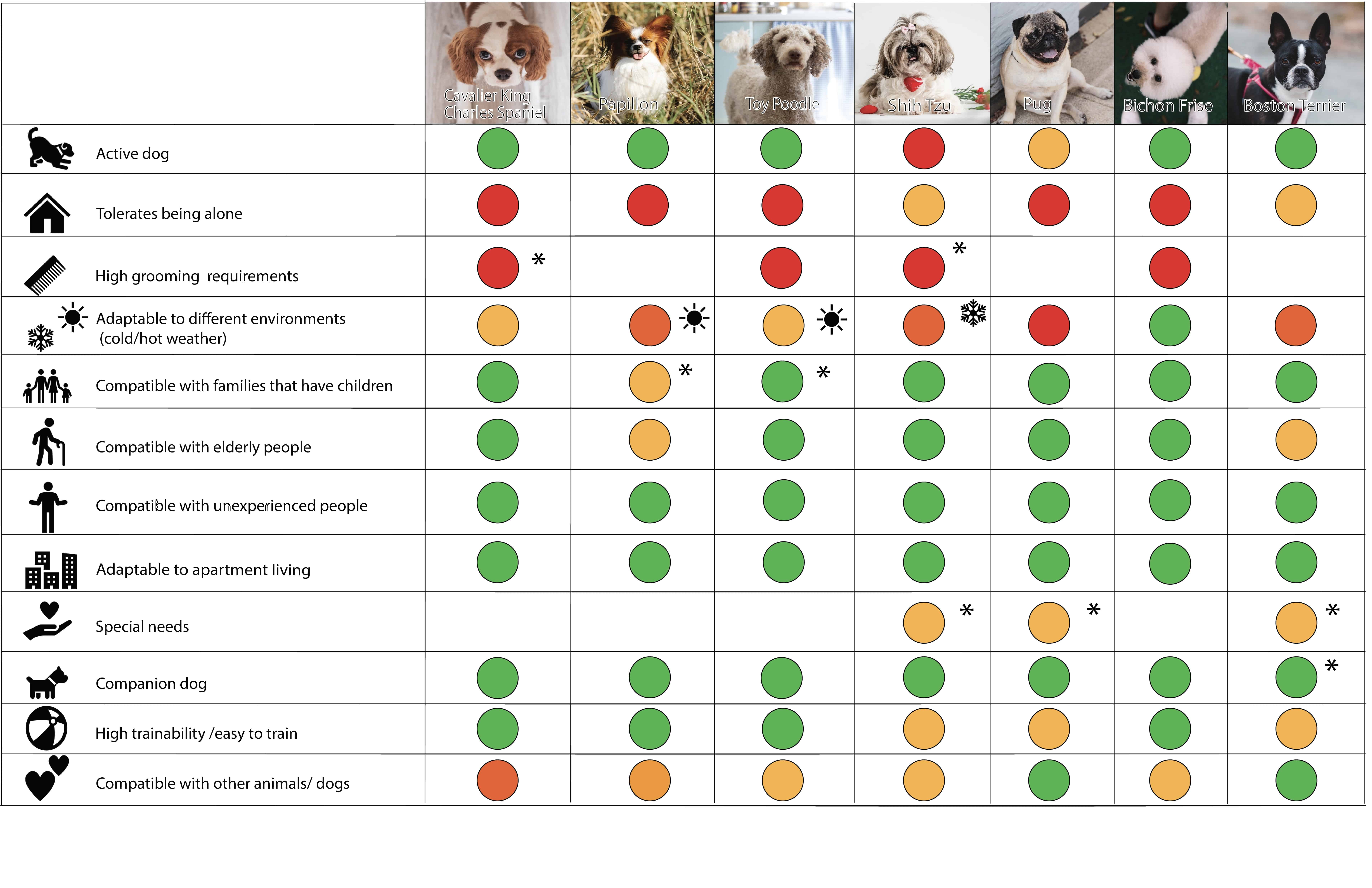 best small dog breeds-djuriverse