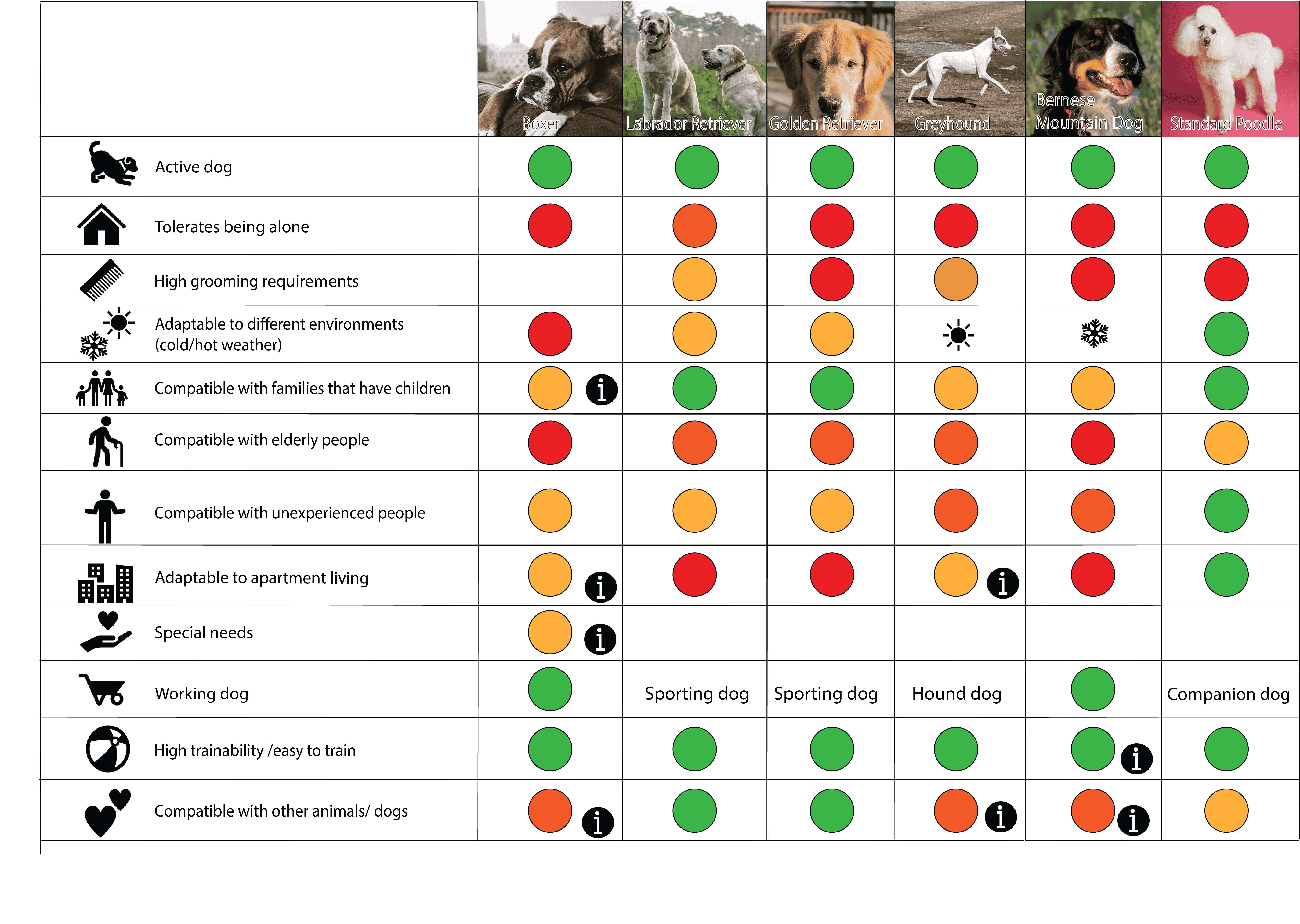 best big dog breeds djuriverse